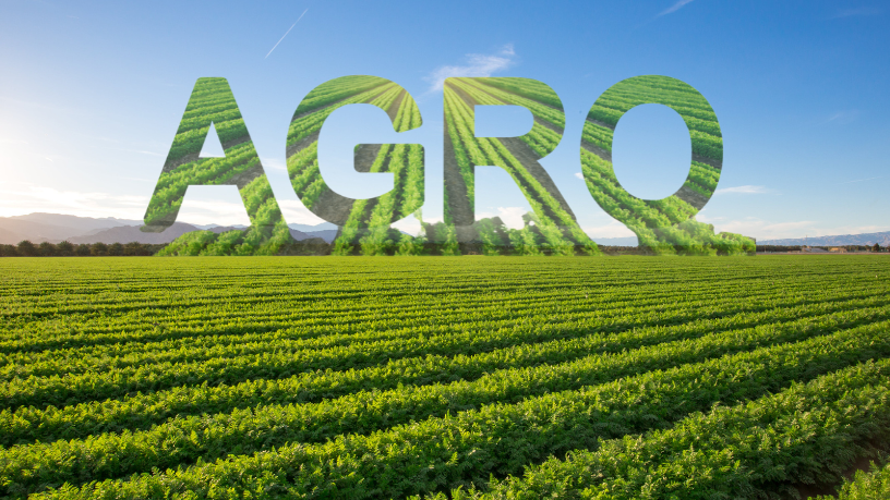A força do agronegócio pode ser decisiva na reconstrução de regiões afetadas, como analisa Aldo Vendramin.