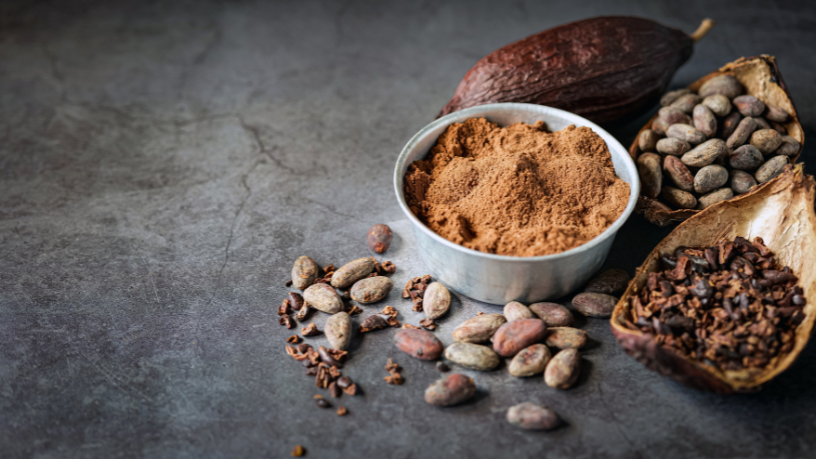 Como Alfredo Moreira Filho conecta a produção de cacau e guaraná no Amazonas ao valor económico e à herança cultural da região.