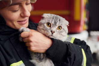 Política de Proteção a Animais Resgatados em Desastres Ganha Força com Nova Lei