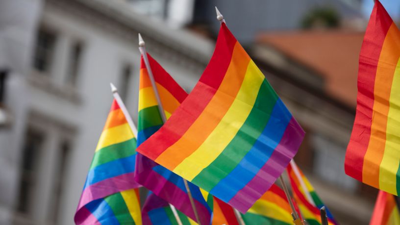 O Papel da Política na Parada LGBT e os Desafios do Financiamento Corporativo